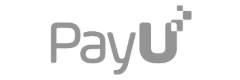 AI Advantage for Businesses 24 PayU